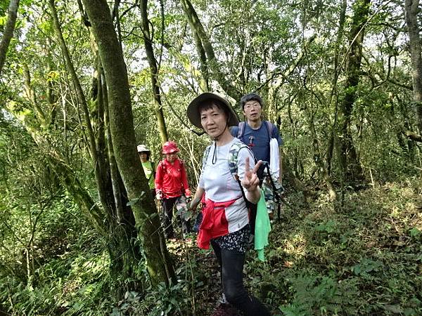 180318荷蘭古道頂山北五指山擎天崗