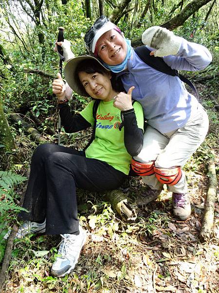 180318荷蘭古道頂山北五指山擎天崗