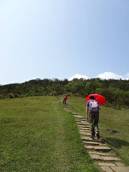 180318荷蘭古道頂山北五指山擎天崗