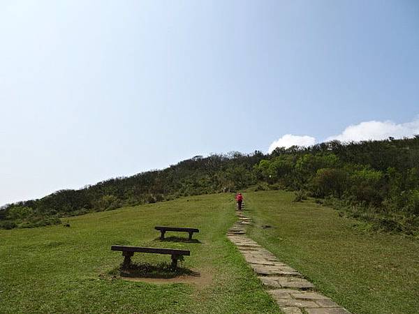 180318荷蘭古道頂山北五指山擎天崗