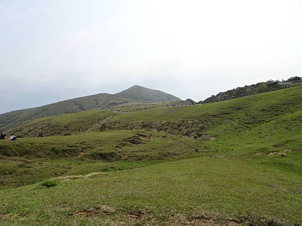 180318荷蘭古道頂山北五指山擎天崗