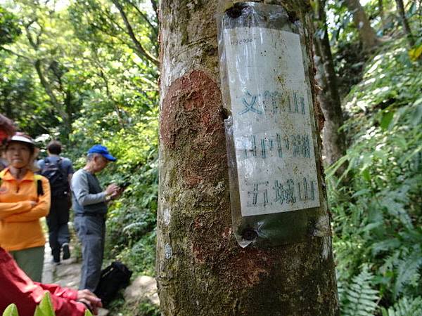 1070401清水土成大尖二尖山O型走