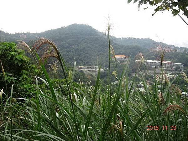 1071103吉福古道上虎山