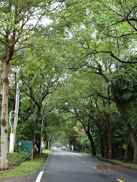 9丙公路陳森田造景公司