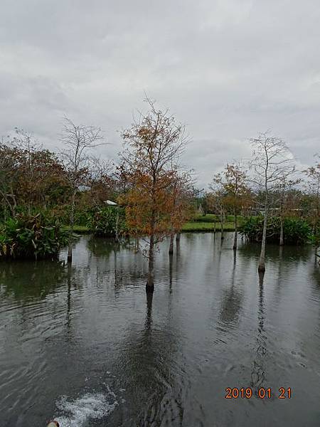 1080121花蓮理想渡假村