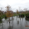 1080121花蓮理想渡假村