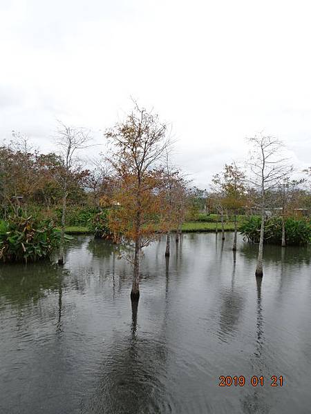 1080121花蓮理想渡假村