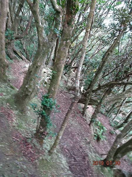 1080130東滿步道拉卡山