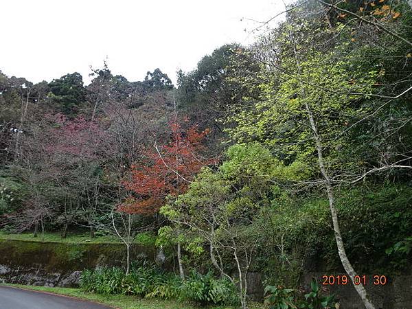 1080130東眼山國家森林遊樂區