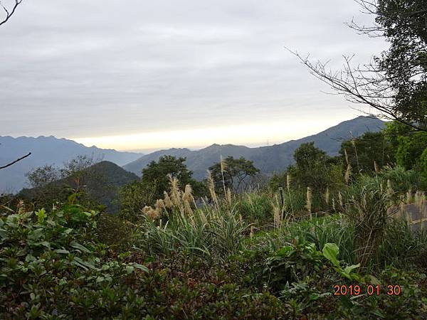 1080130東眼山國家森林遊樂區