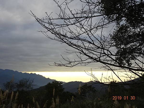 1080130東眼山國家森林遊樂區