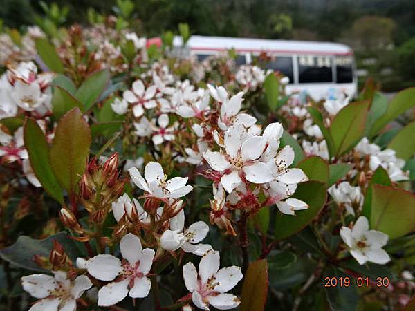 1080130東眼山國家森林遊樂區