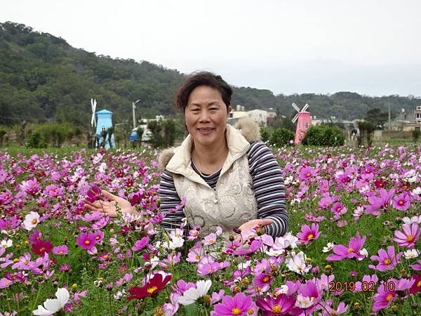 1080210年初六通霄花田