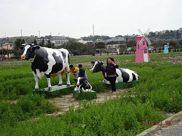 1080210年初六通霄花田