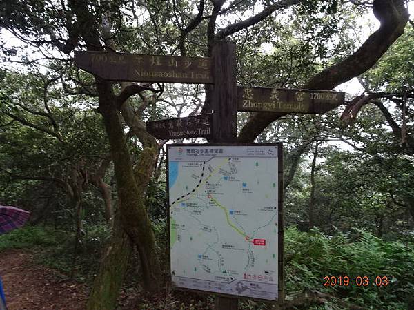 1080303鶯歌石忠義山O型