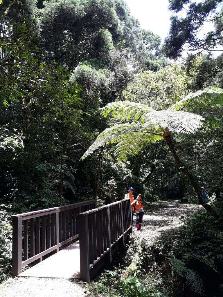 20190609坪溪古道