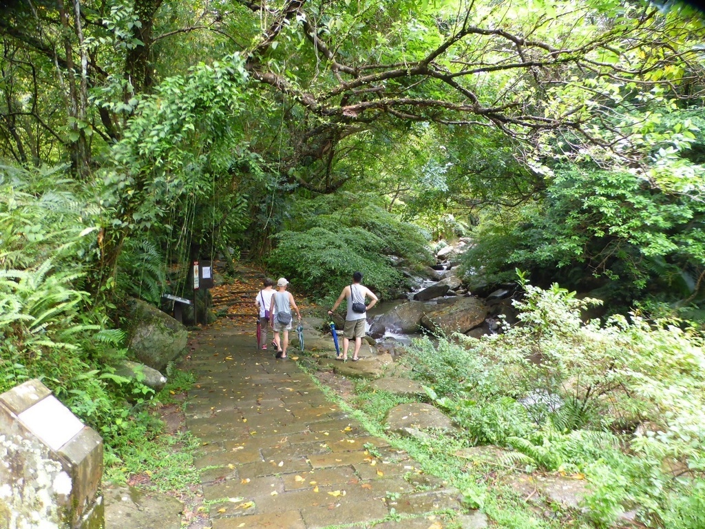 20920草嶺古道大里至貢寮雨中行_200921_23.jpg