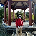 201129稍來山小雪山步道 (19).jpg