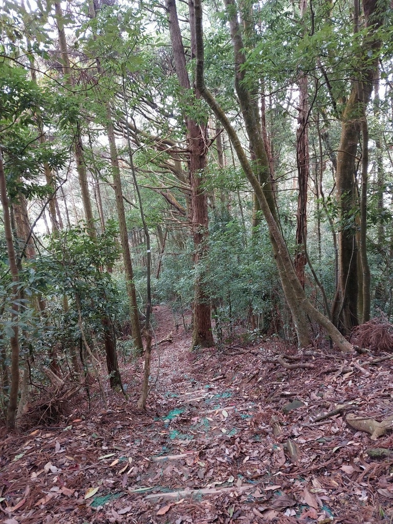 20220331橫嶺山自然步道大雪山社區～隧道口來回_220331_0.jpg