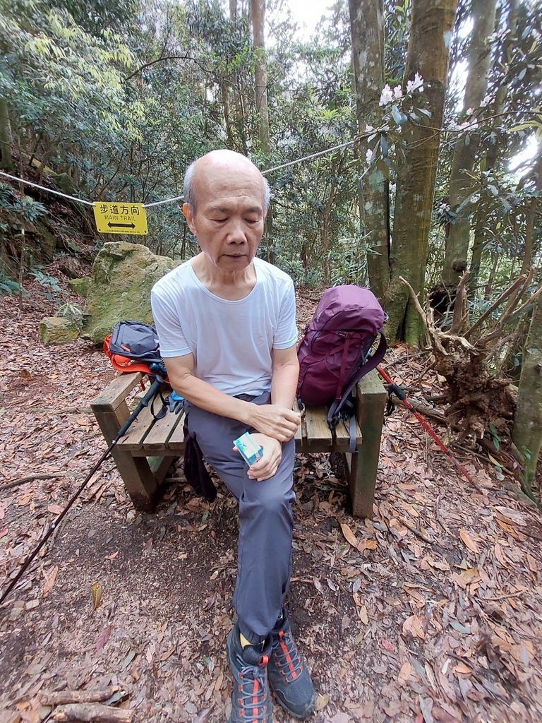 20220331橫嶺山自然步道大雪山社區～隧道口來回_220331_17.jpg