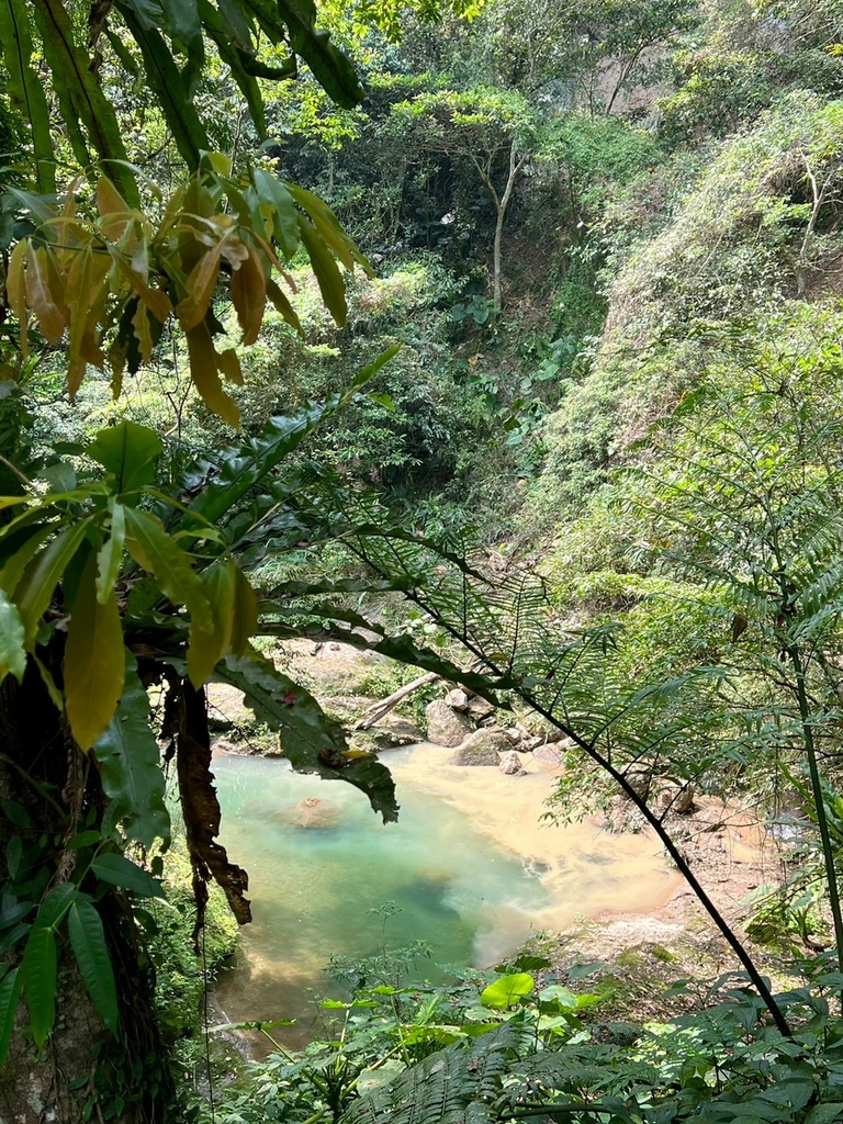 1110409苑裡班藤坪步道六寮古道_220409_0.jpg