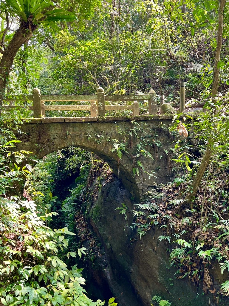 1110409苑裡班藤坪步道六寮古道_220409.jpg