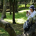 P1040320.JPG
