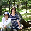 P1040330.JPG