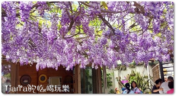 新埔紫藤居1.jpg 新埔紫藤居1.jpg