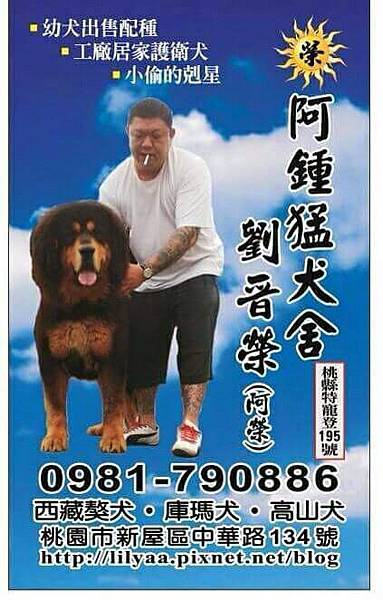 猛犬專線:0981790886