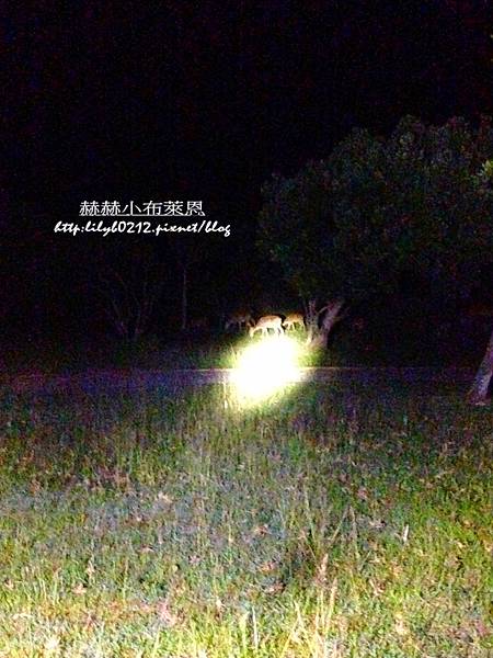 IMG_8047_副本 IMG_8047_副本