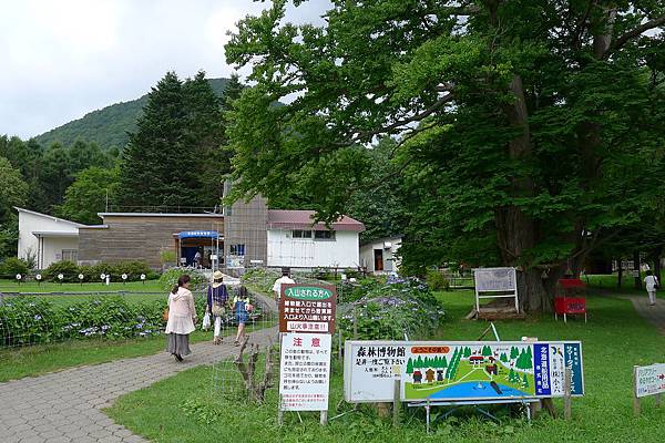 通往森林博物館