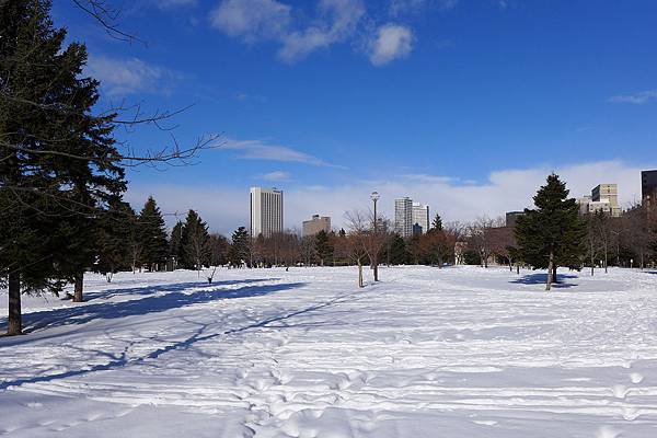 16年1月11日 札幌 中島公園走雪趣 大手牽小手 一起向前走 痞客邦