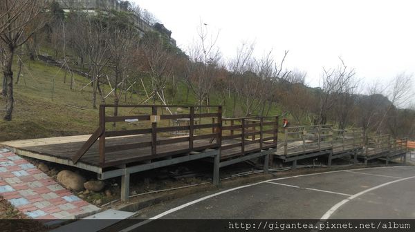 櫻花鳥櫻花棧板