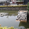 20140520_105137.jpg