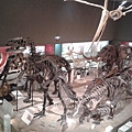 20140520_164502.jpg