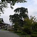 20140911_083723.jpg