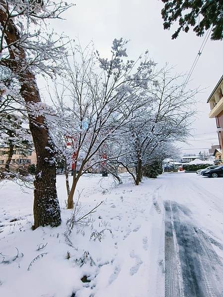 【盛岡】被雪覆蓋的八幡宮