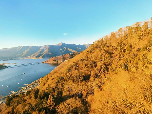 【河口湖】一探富士山：天上山公園