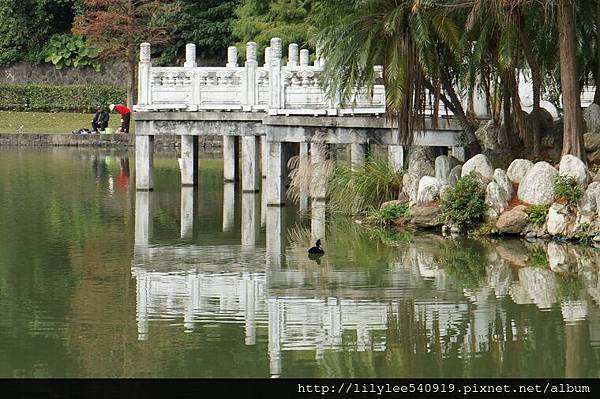 碧湖公園_04.JPG