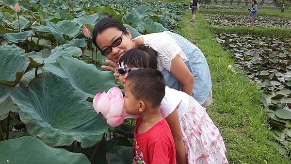 20140817_151239.jpg