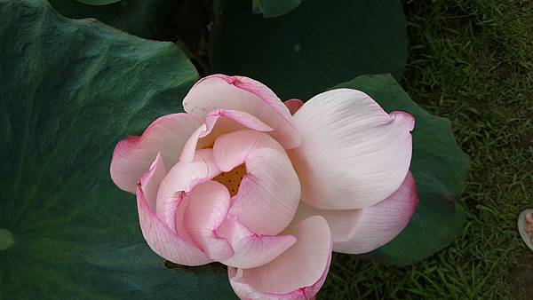20140817_151249.jpg
