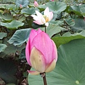 20140817_151423.jpg