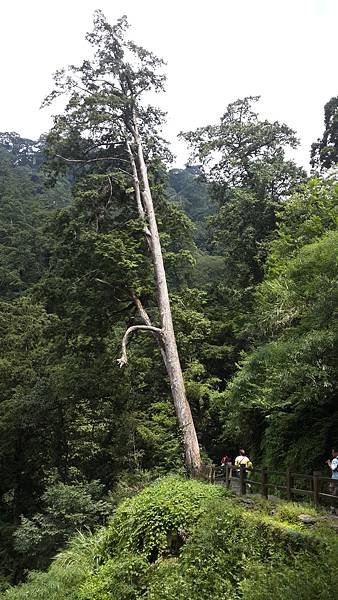 20140907_132407.jpg