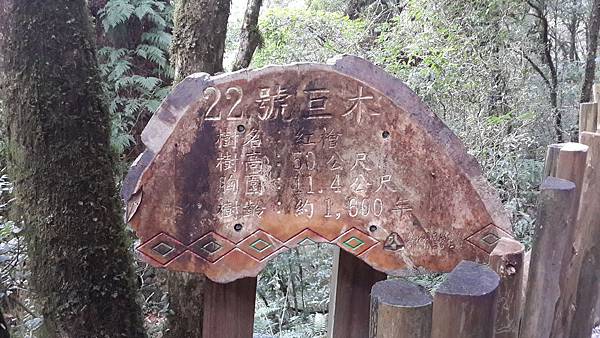 20140907_135706.jpg