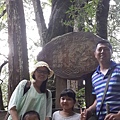 20140907_135916.jpg