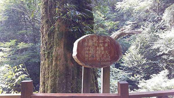 20140907_140507.jpg