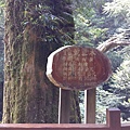 20140907_140507.jpg