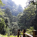 20140907_140513.jpg