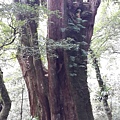 20140907_140909.jpg